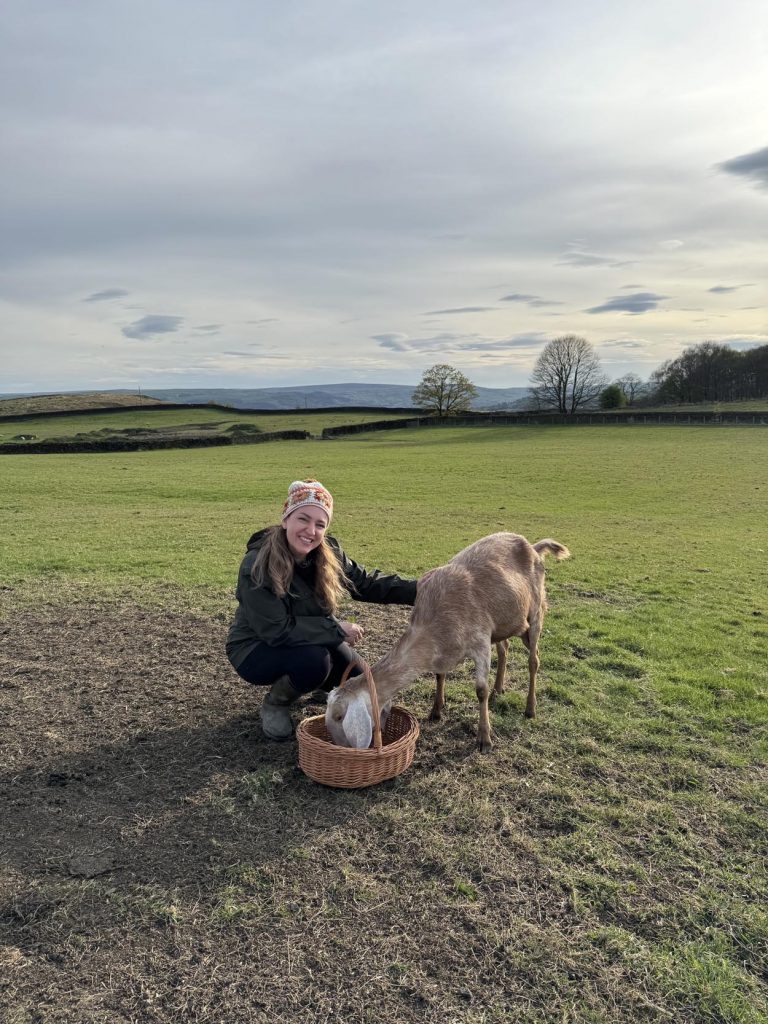 Willow Way Produce Goats - meet the team