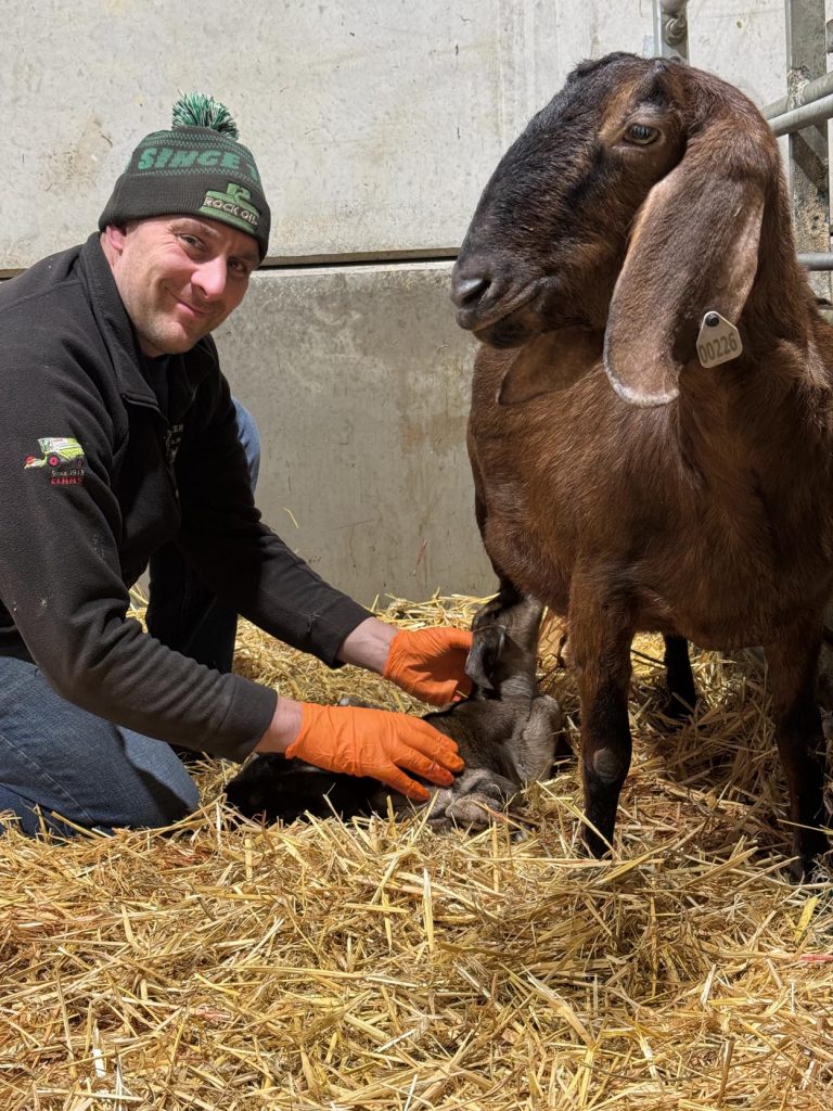 Willow Way Produce Goats - meet the team